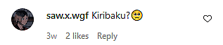 Shippers flood My Hero Academia mangaka Kohei Horikoshi's Instagram with ship canonization demands