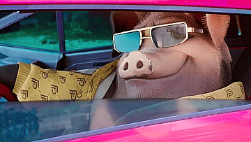 Napoleon (Seth Rogen) is stylin' and profilin' swine in Animal Farm (2025), Angel Studios