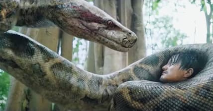 Chinese Anaconda