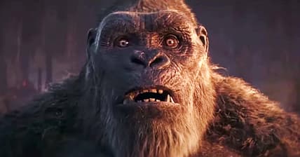 Kong-reaction