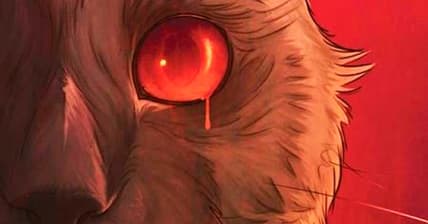 The cat's eye