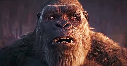 Kong-reaction
