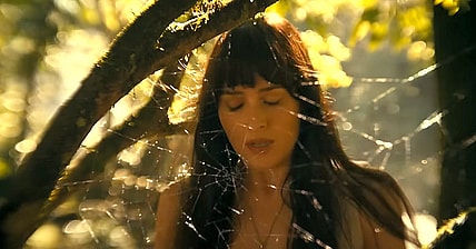 Madame Cassandra Webb