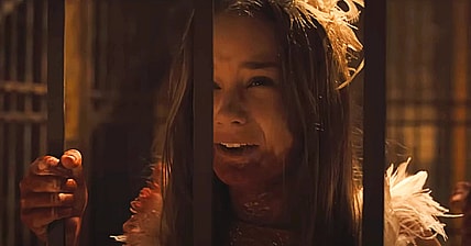 Abigail-swan lake in a guilded cage