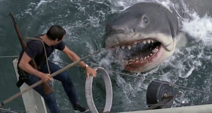 shark attacks the boat