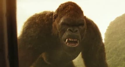 Son of Kong Seemingly Confirmed As Follow-Up To Godzilla vs. Kong