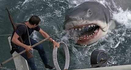 shark attacks the boat