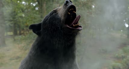 Cocaine Bear, directed by Elizabeth Banks. © 2023 Universal Studios. All Rights Reserved.