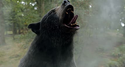 Cocaine Bear, directed by Elizabeth Banks. © 2023 Universal Studios. All Rights Reserved.