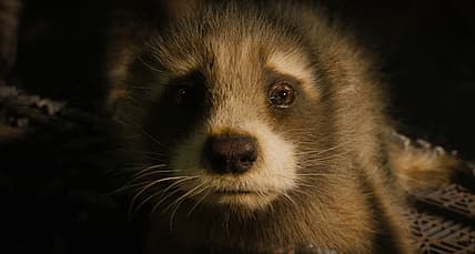 'Guardians Of The Galaxy Vol. 3' Opening Weekend Box Office Falls Short Of Initial Projections
