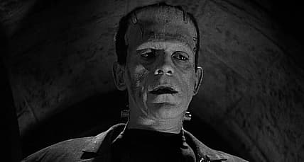 Rumor: Starring Roles In Guillermo Del Toro's ‘Frankenstein’ Adaptation For Netflix Revealed