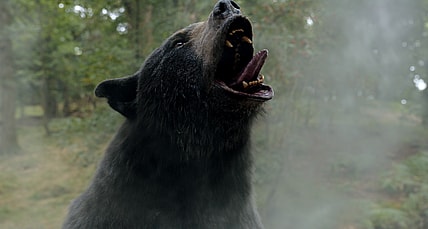 Cocaine Bear, directed by Elizabeth Banks. © 2023 Universal Studios. All Rights Reserved.