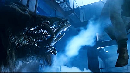 Hogzilla goes for low-hanging fruit in Razorback (1984), Western Film Productions