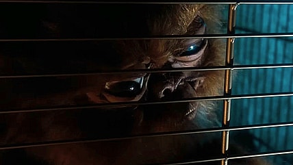 Iron bars do not make a cage for Gizmo's appetite in Gremlins (1984), Warner Bros. Pictures