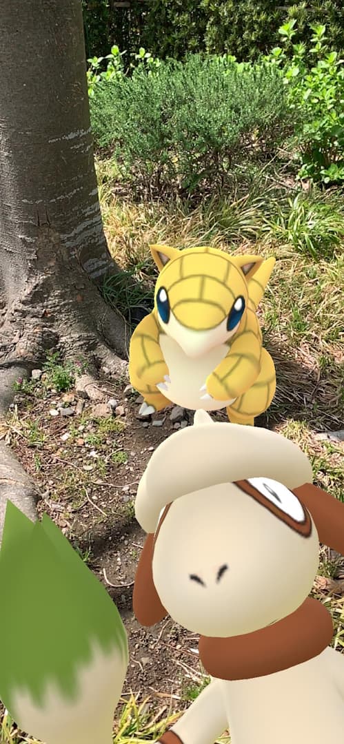 A Smeargle photo-bombs a Sandshrew in Pokémon GO (2016), Niantic