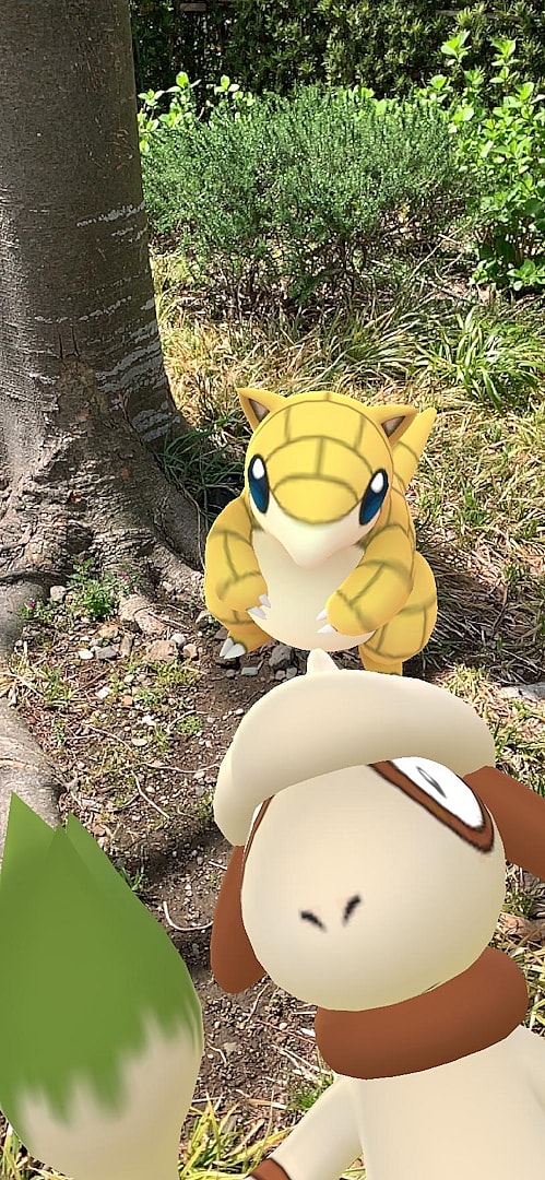 A Smeargle photo-bombs a Sandshrew in Pokémon GO (2016), Niantic