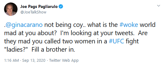 The Mandalorian Star Gina Carano Accused of Transphobia for Refusal to List Pronouns in Twitter Bio
