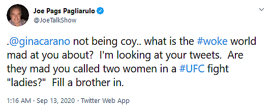 The Mandalorian Star Gina Carano Accused of Transphobia for Refusal to List Pronouns in Twitter Bio