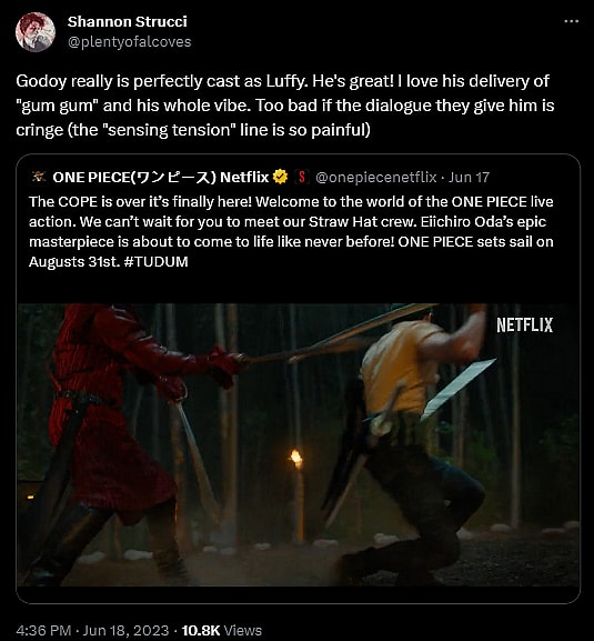 @plentyofalcoves weighs in on the first trailer for Netflix's 'One Piece'