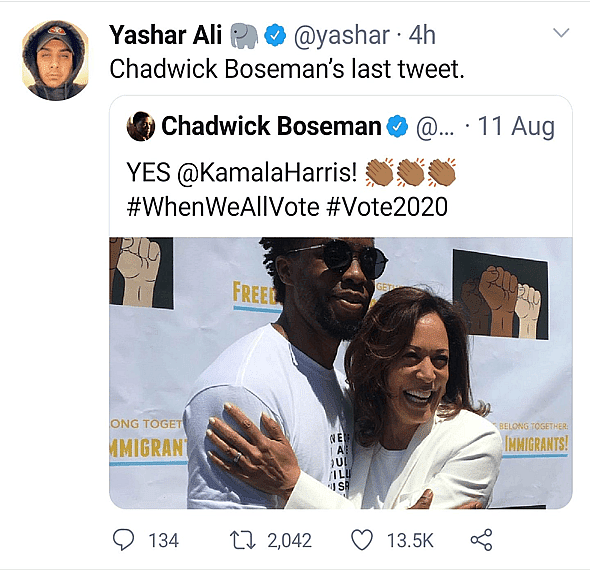 Journalists Use The Passing of Black Panther Actor Chadwick Boseman to Promote Vice Presidential Candidate Kamala Harris
