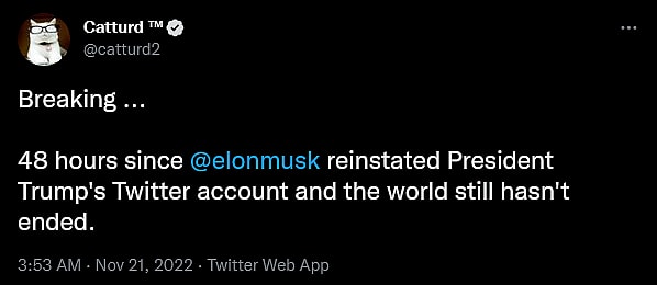 @catturd2 makes an observation about Twitter via Twitter