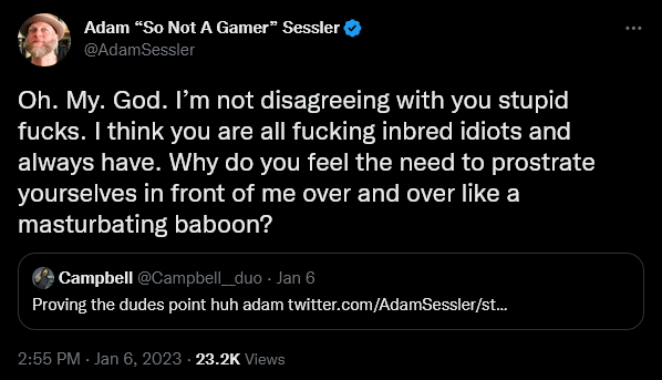 Adam Sessler has a meltdown regarding the existence of gamers.