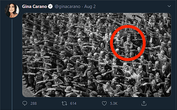 Gina Carano OG Tweet storm