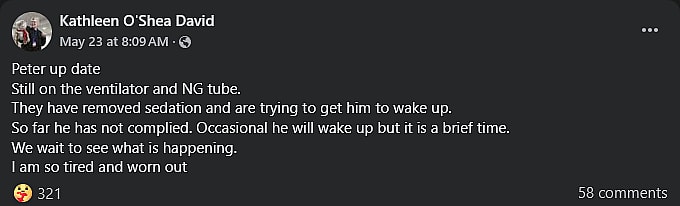 Kathleen O'Shea David, the wife of Spider-Man 2099 co-creator Peter David, provides updates on her husband's health.