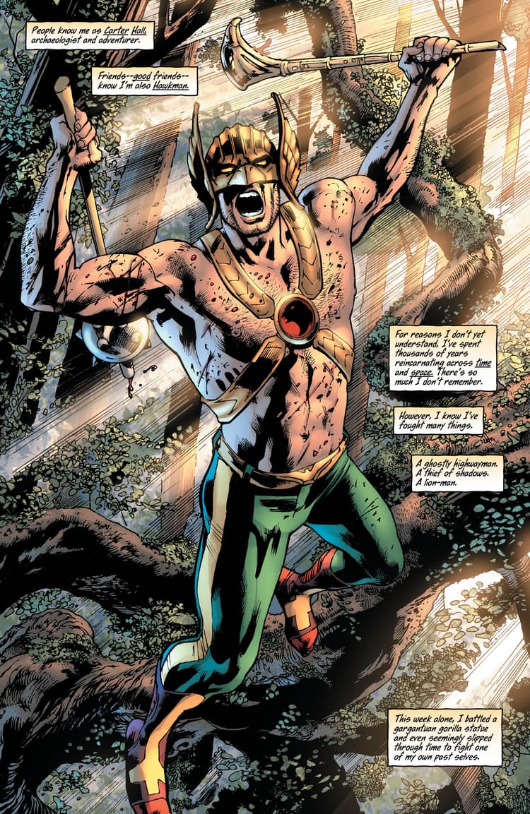 Hawkman #3 Preview Page - DC Comics