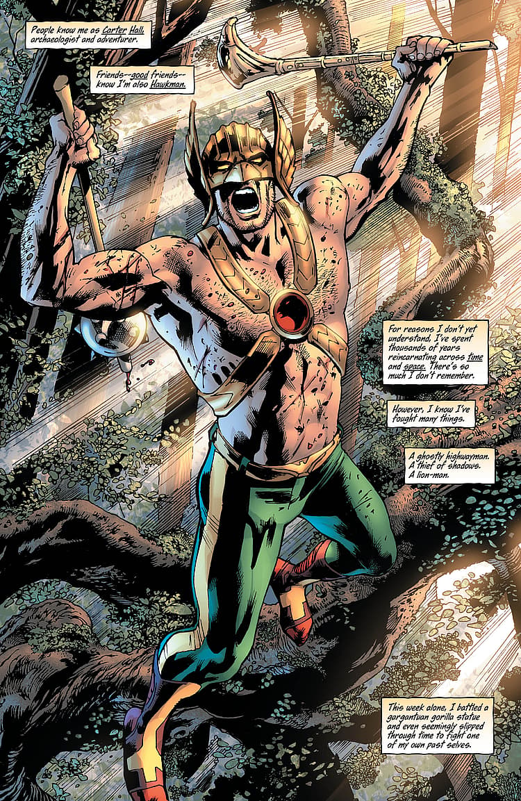Hawkman #3 Preview Page - DC Comics