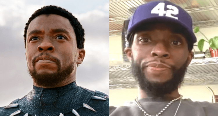Screenrant Apologizes for Publication of Speculative Black Panther 2 Article Just Hours After the Passing of Chadwick Boseman