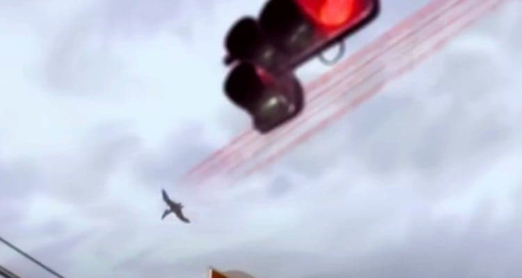 Rodan's Red Mist