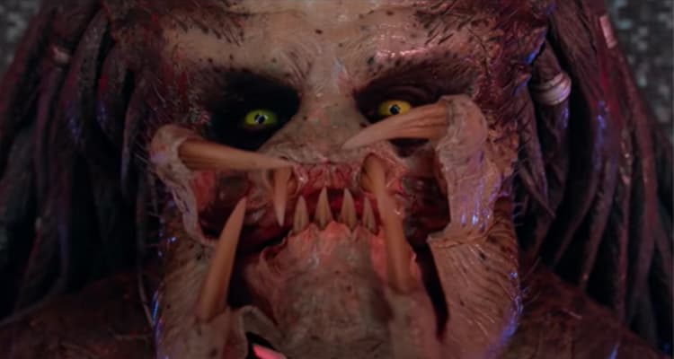Predator