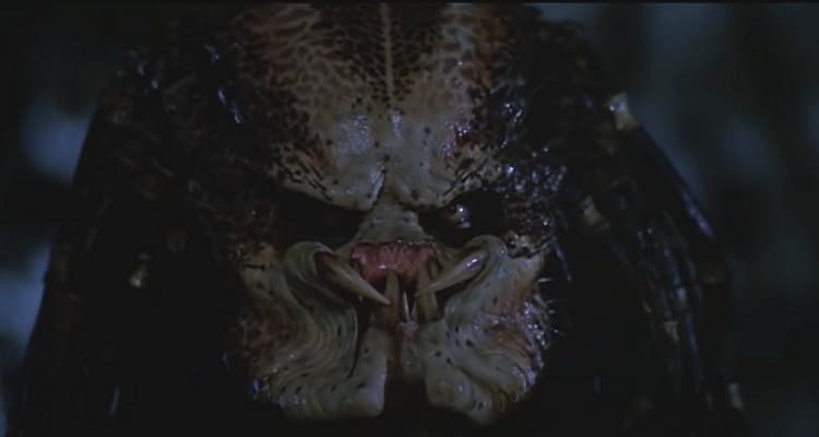 Rumor: Disney Developing New Predator Series