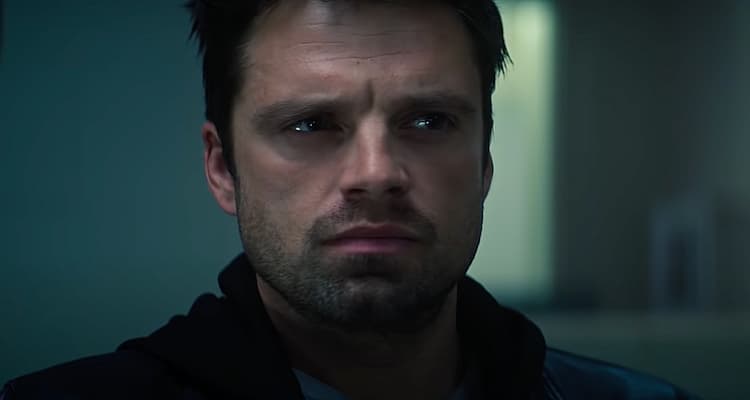 The Falcon And The Winter Soldier's Sebastian Stan Targeted Again By The Cancel Culture Mob On