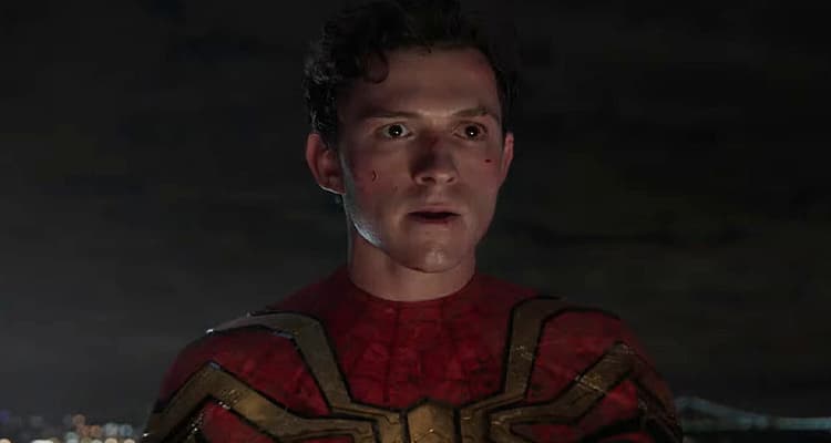 Marvel Drops First Official Trailer For Spider-Man: No Way Home, Revealing New Plot Details And