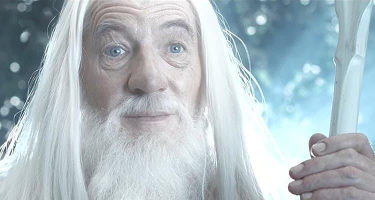 Lord of the Rings Star Ian McKellen Rejects Idea Actors Must Share Exact Qualities As Their