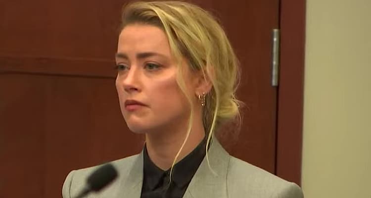 Milani Cosmetics Obliterates Amber Heard’s Claim She Used Their Product To Cover Bruises From