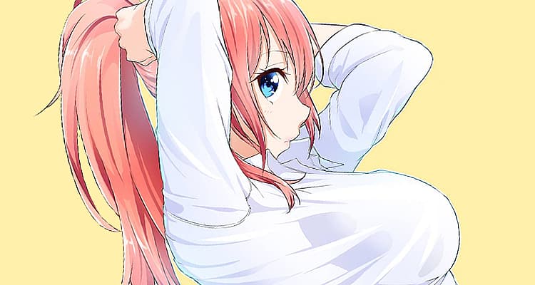 Interview: Fan And Professional Translators Speak Out On Western Localization Issues And The