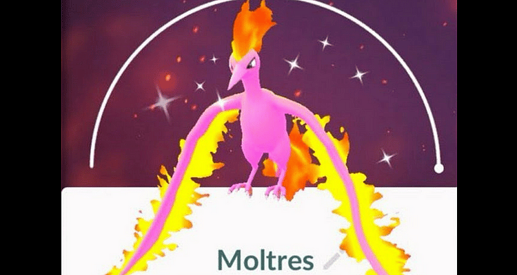 Shiny Moltres Pokemon Go