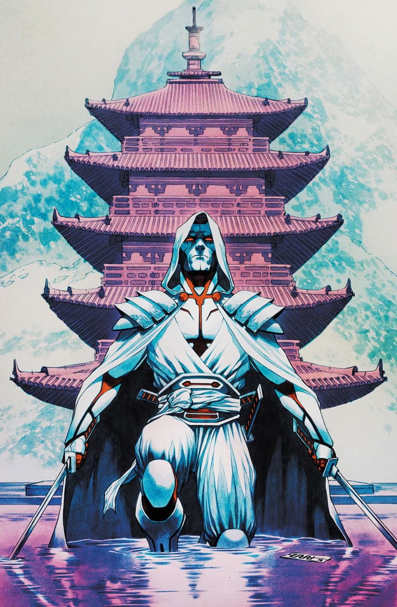 RAI #13 Cover