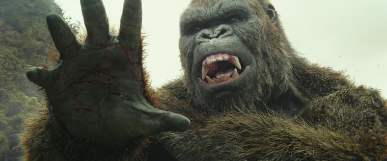 Kong-talk to the hand
