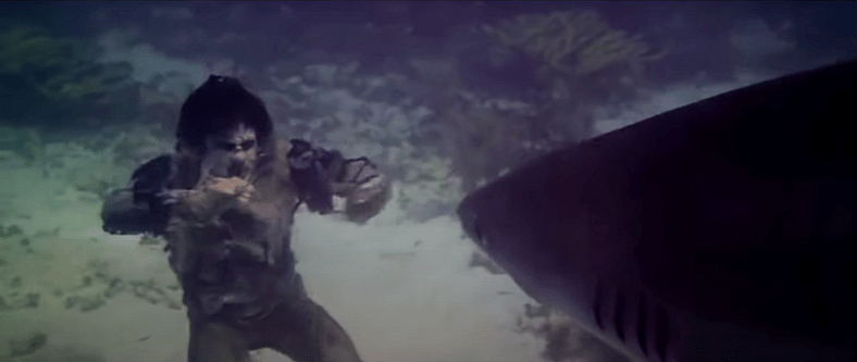 Zombie shark