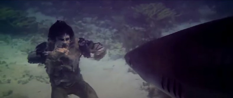 Zombie shark