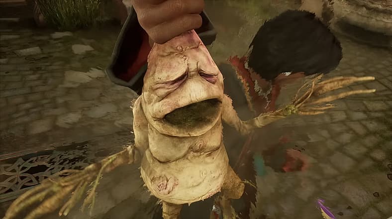 Student pulls baby mandrake from pot unleashing devastating scream in Hogwarts Legacy (2022)