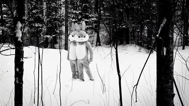 Two bunnies among beavers