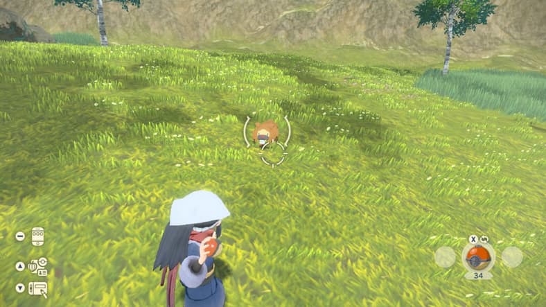 The player attempts to catch a Bidoof in Pokémon Legends: Arceus (2022), Nintendo
