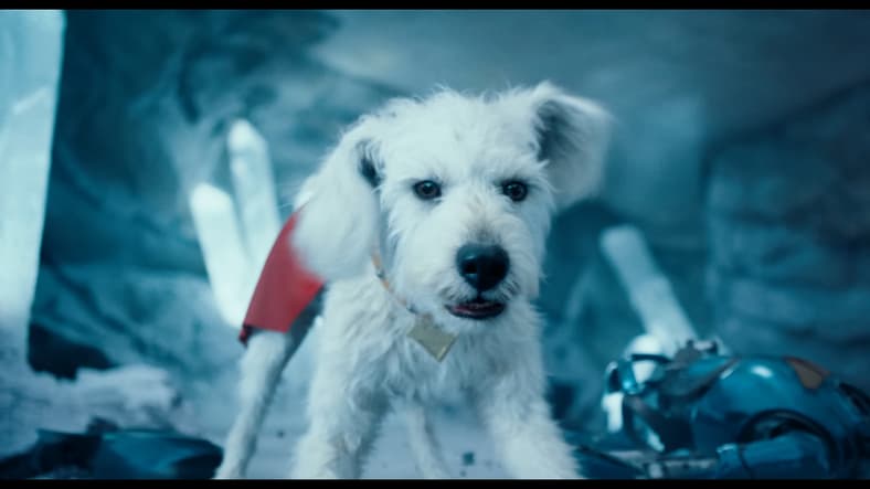 Krypto stands in defense of the Fortress of Solitude in Superman (2025), DC Studios