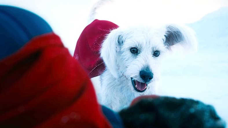 Krypto comes to Man of Steel's (David Corenswet) aid in Superman (2025), DC Studios