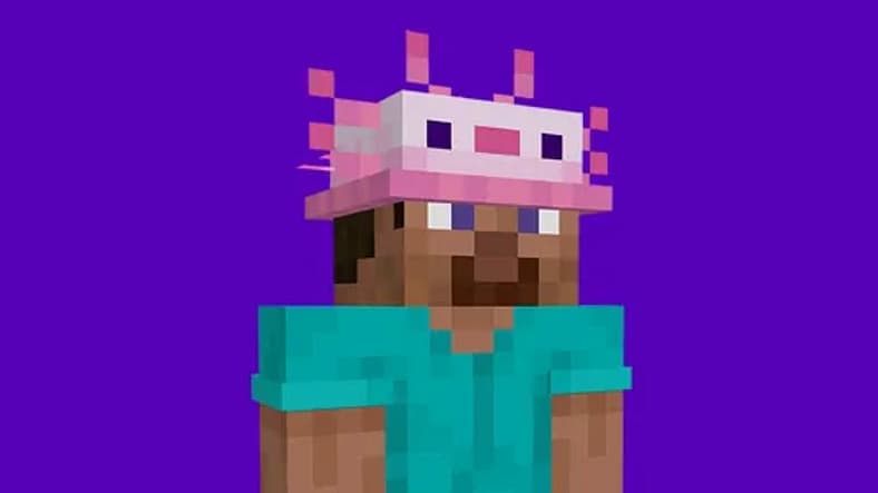 Alton Towers Resort Hat, Minecraft